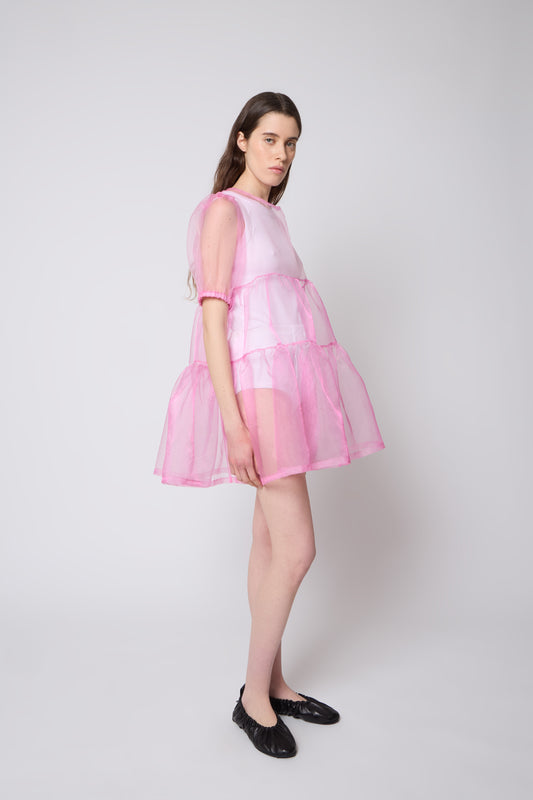 Isabelle Dress in Pink Organza