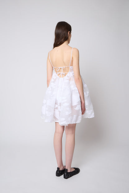 Eloise Dress in White Organza